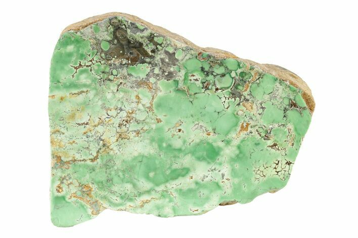 Polished Aluminum Phosphate (Variscite) Section - Australia #239912